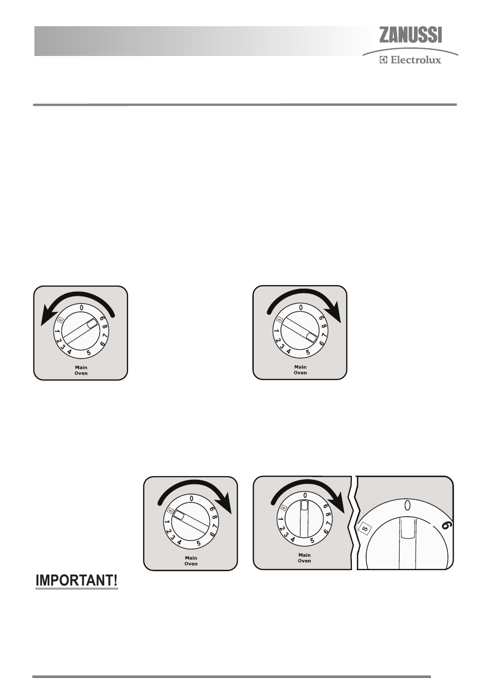 Slow cook, Using slow cook, Important | Zanussi FH10 User Manual | Page 25 / 44