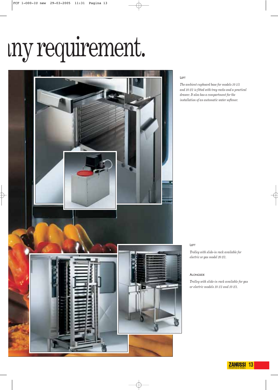 Any requirement | Zanussi FCF61E User Manual | Page 13 / 16