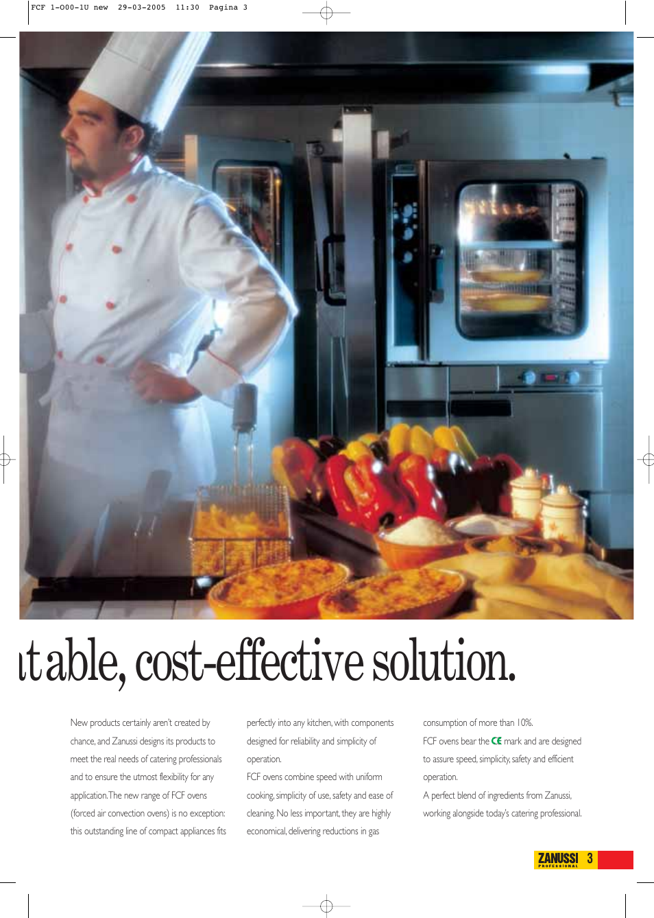 Atable, cost-effective solution | Zanussi FCF61E User Manual | Page 3 / 16