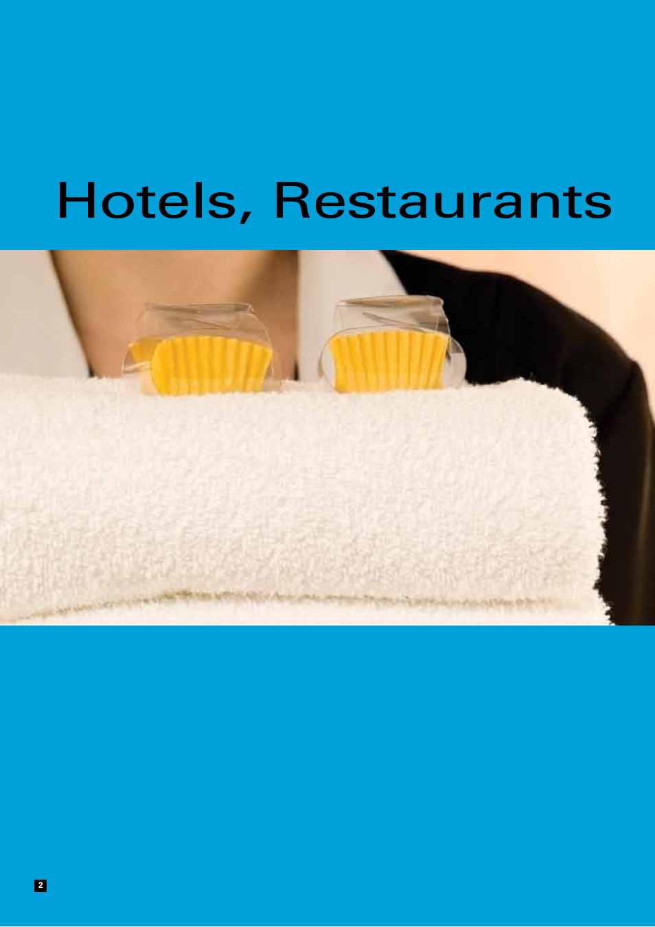 Hotels, restaurants | Zanussi Clothes Dryer User Manual | Page 2 / 20