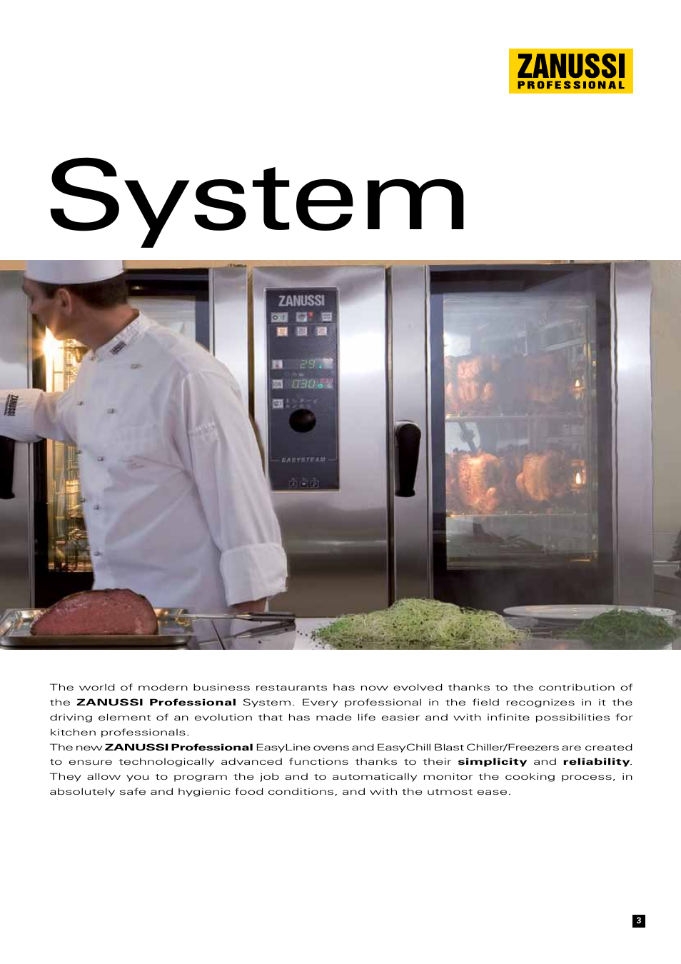 The system | Zanussi Convection Oven User Manual | Page 3 / 40