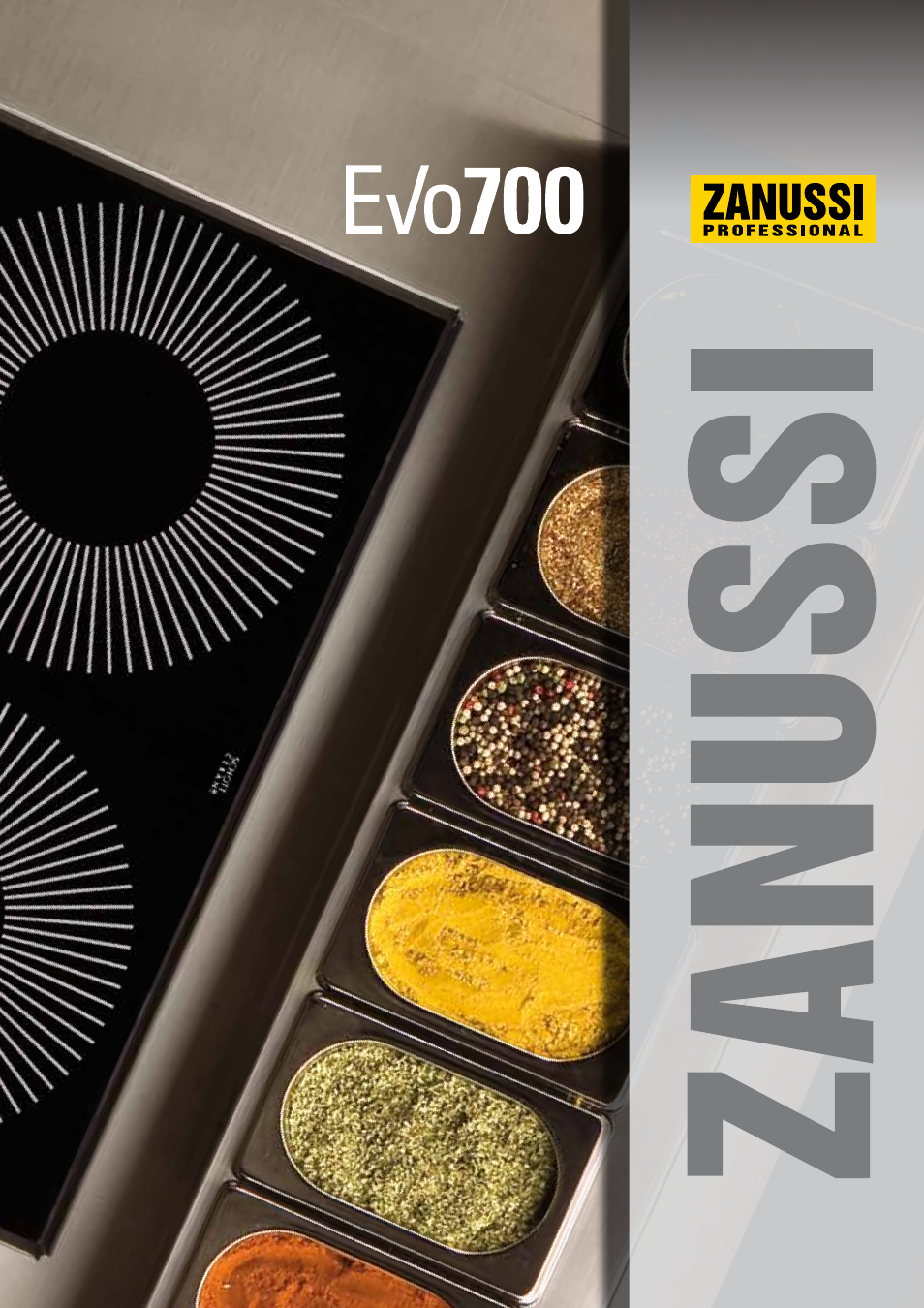 Zanussi EVOLUTION EVO700 User Manual | 32 pages