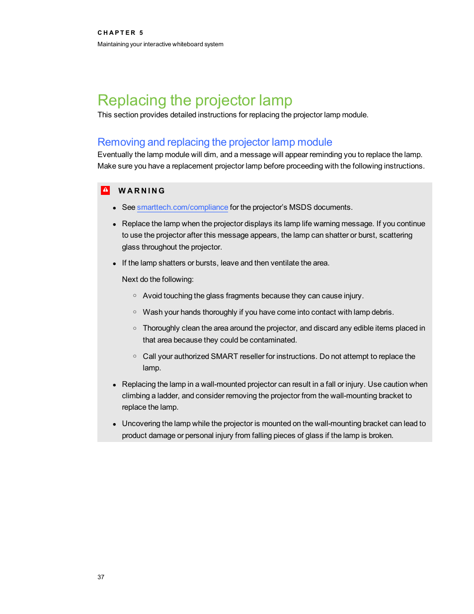 Replacing the projector lamp, Removing and replacing the projector lamp module | Smart Technologies 800ix-SMP User Manual | Page 47 / 100