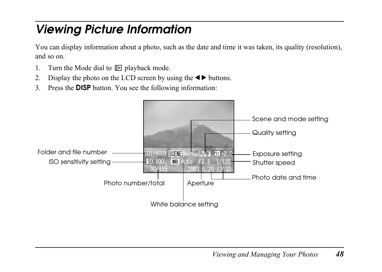 Viewing picture information | Epson PC L-41 User Manual | Page 48 / 94
