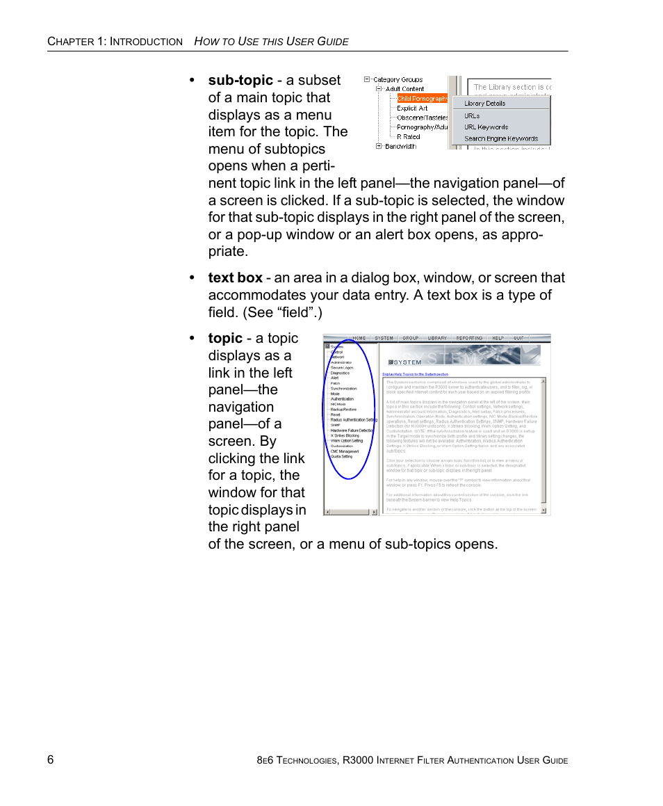 8e6 Technologies Enterprise Filter Authentication R3000 User Manual | Page 20 / 333