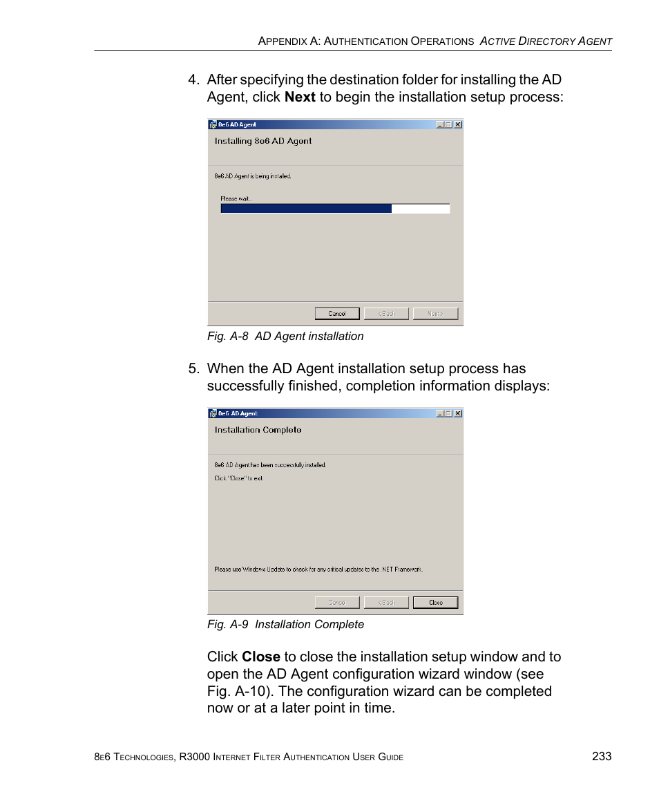 8e6 Technologies Enterprise Filter Authentication R3000 User Manual | Page 247 / 333