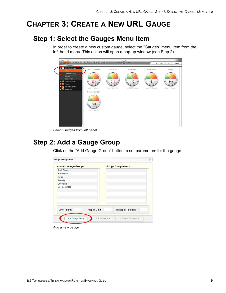 Chapter 3: create a new url gauge, Step 1: select the gauges menu item, Step 2: add a gauge group | Hapter, Reate, Url g, Auge | 8e6 Technologies Threat Analysis Reporter TAR HL/SL/MSA User Manual | Page 13 / 22