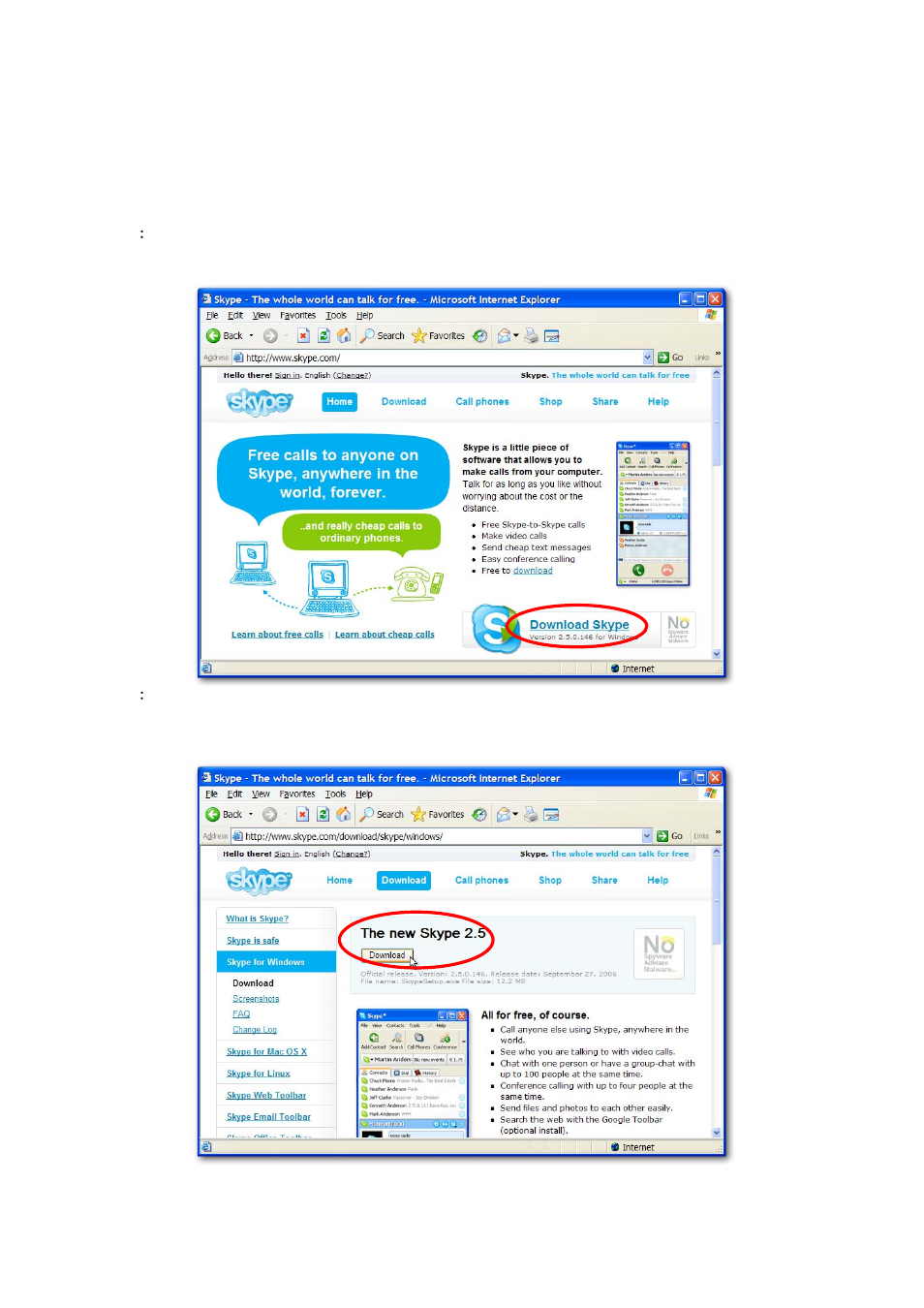 Install skype software | Edimax Technology VO-4500SK User Manual | Page 4 / 27