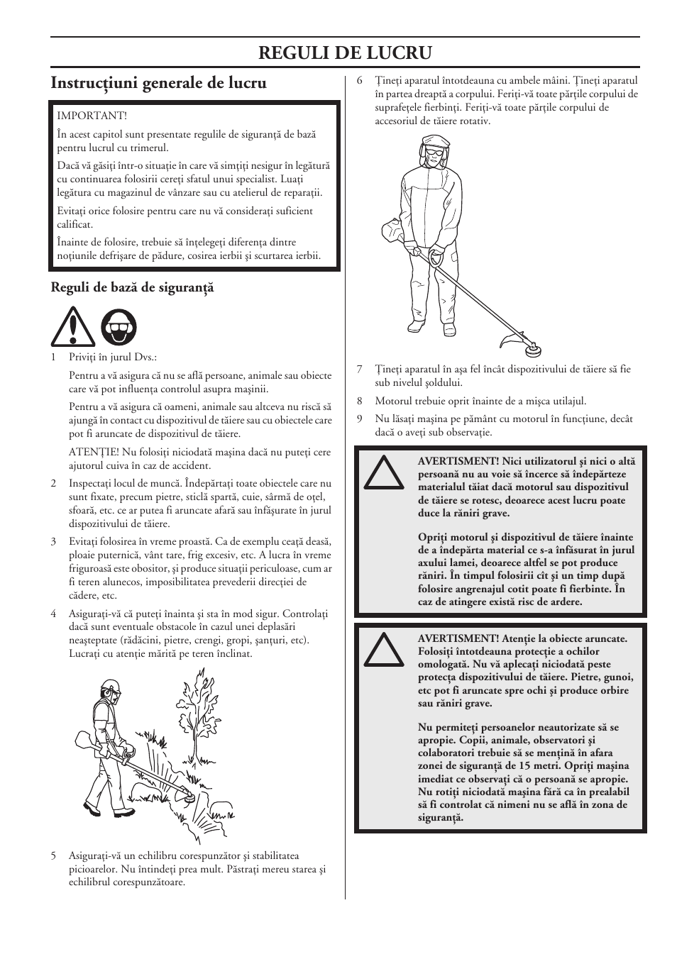 Instrucöiuni generale de lucru, Reguli de bazã de siguranöã, Reguli de lucru | Husqvarna 122LD User Manual | Page 511 / 642