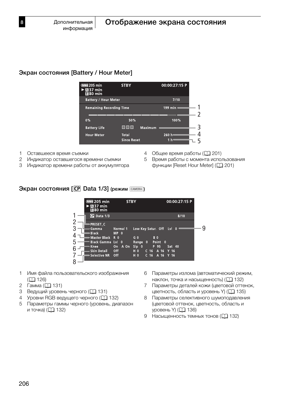 Отображение экрана состояния | Canon XF305 User Manual | Page 206 / 232