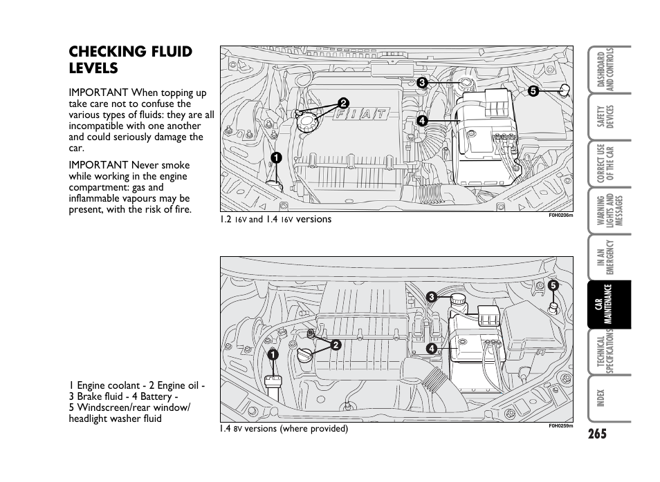 Checking fluid levels | FIAT Idea User Manual | Page 266 / 314