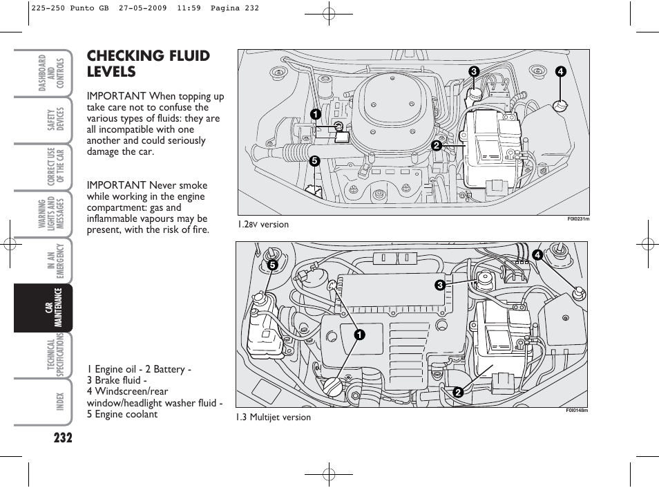 Checking fluid levels | FIAT Punto User Manual | Page 233 / 282