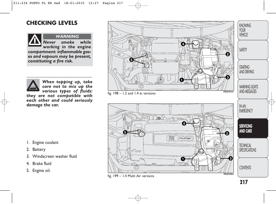 217 checking levels | FIAT Punto Evo User Manual | Page 218 / 270