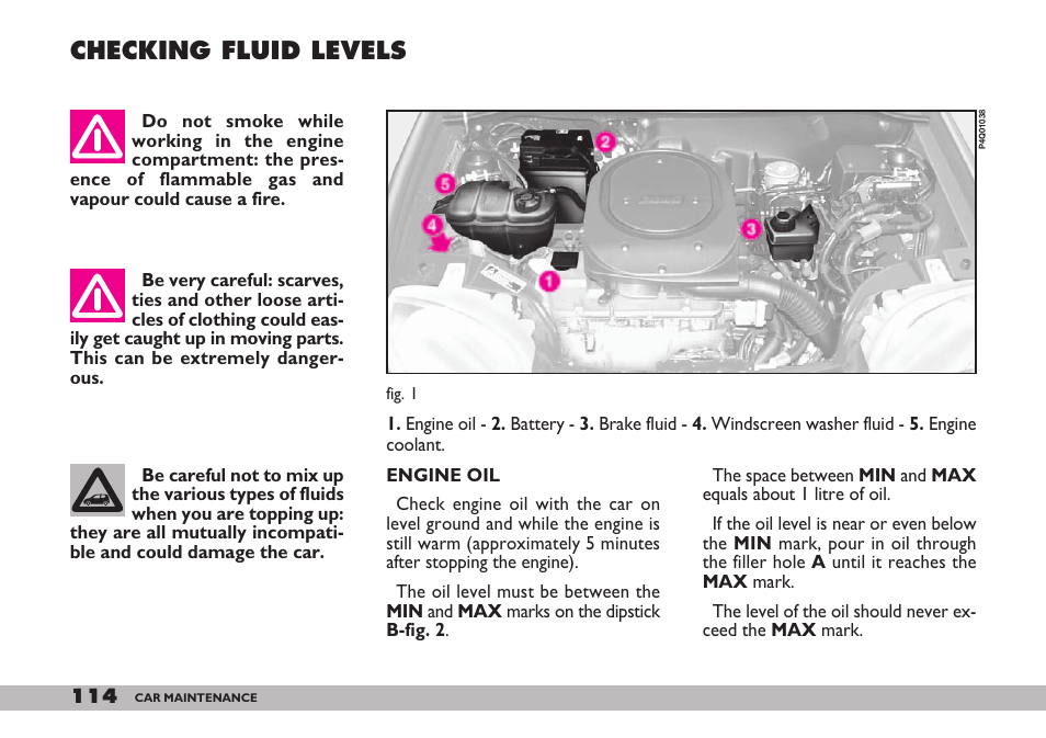 Checking fluid levels | FIAT 600 User Manual | Page 115 / 154