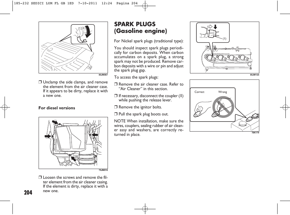 Spark plugs (gasoline engine) | FIAT Sedici User Manual | Page 208 / 279