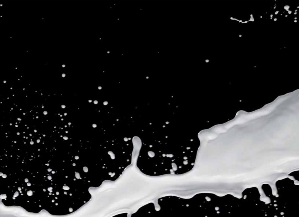 CREMESSO Milk frother User Manual | Page 2 / 44