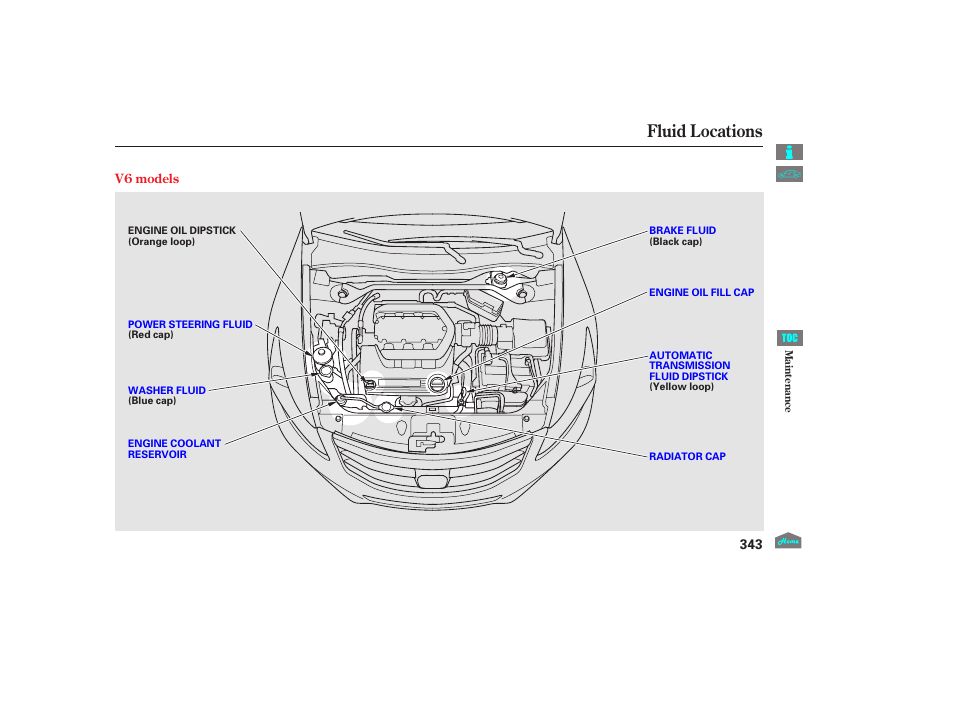 Fluid locations, 2012 accord sedan | HONDA 2012 Accord Sedan User Manual | Page 346 / 446