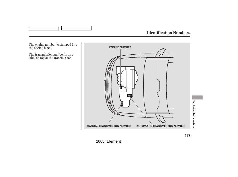 Identification numbers, 2008 element | HONDA 2008 Element User Manual | Page 251 / 281