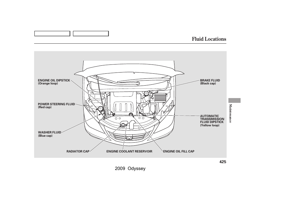 Fluid locations, 2009 odyssey | HONDA 2009 Odyssey User Manual | Page 428 / 532