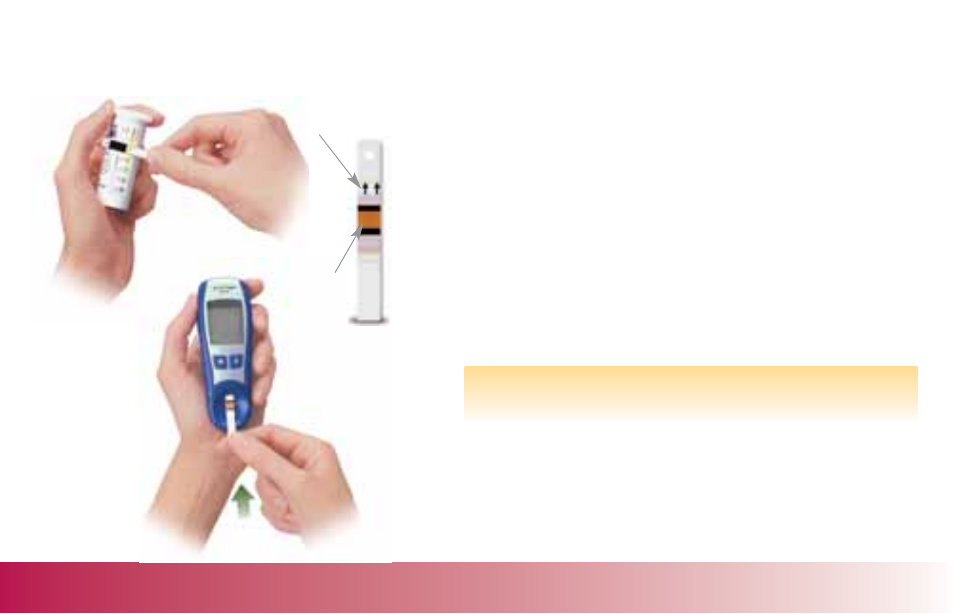 Running a control test | Accu-Chek Active User Manual | Page 20 / 60