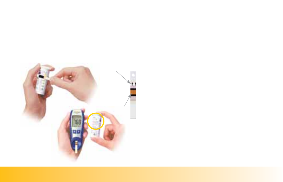 Running a blood sugar test, Applying blood with test strip inside the meter | Accu-Chek Active User Manual | Page 26 / 60