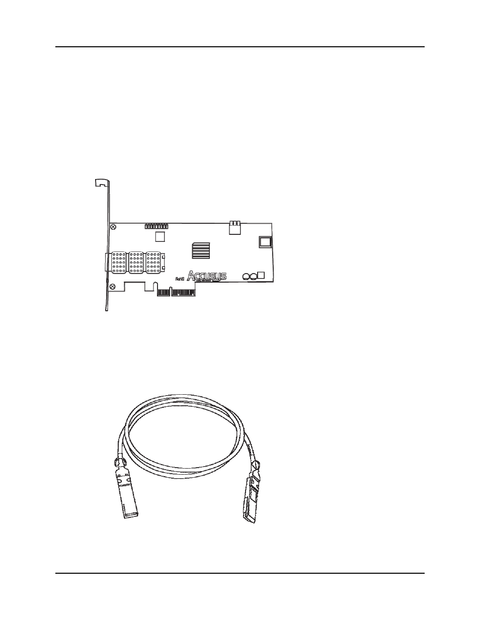 Accusys ExaSAN SW-08 User Manual | Page 13 / 89