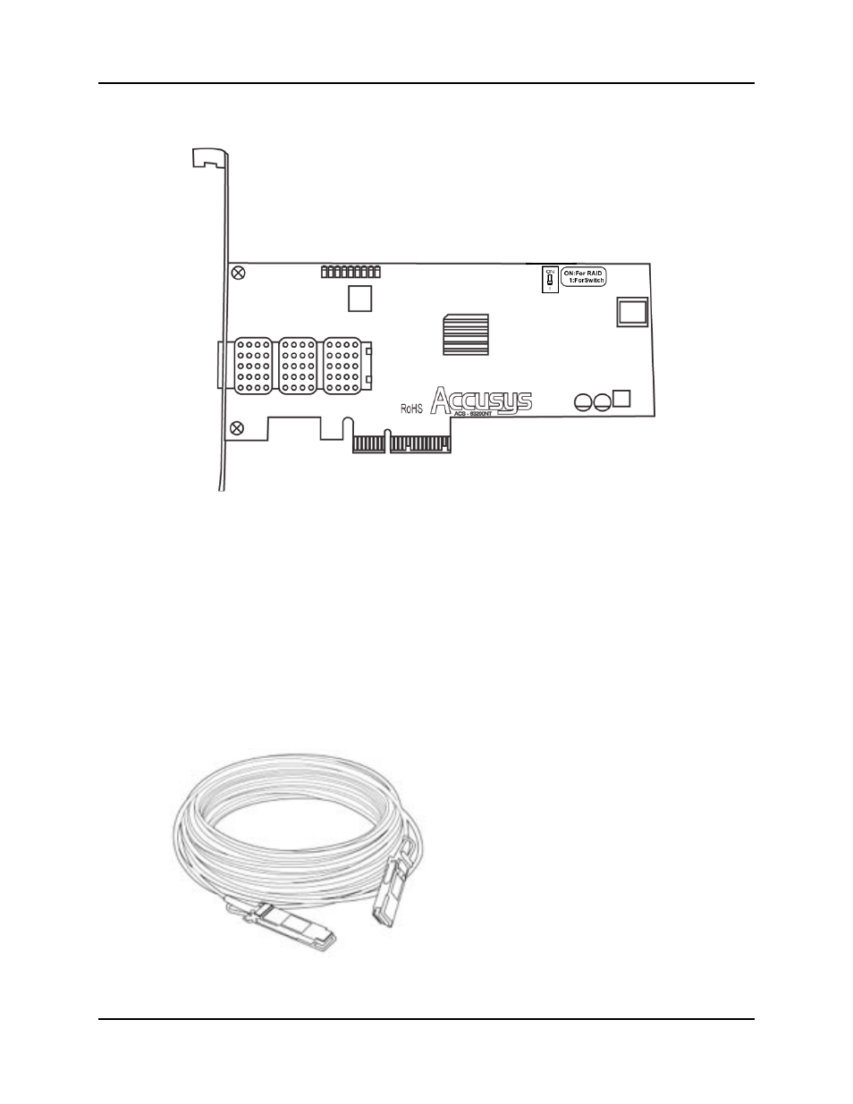 Accusys ExaSAN A12S2-PS User Manual | Page 12 / 114