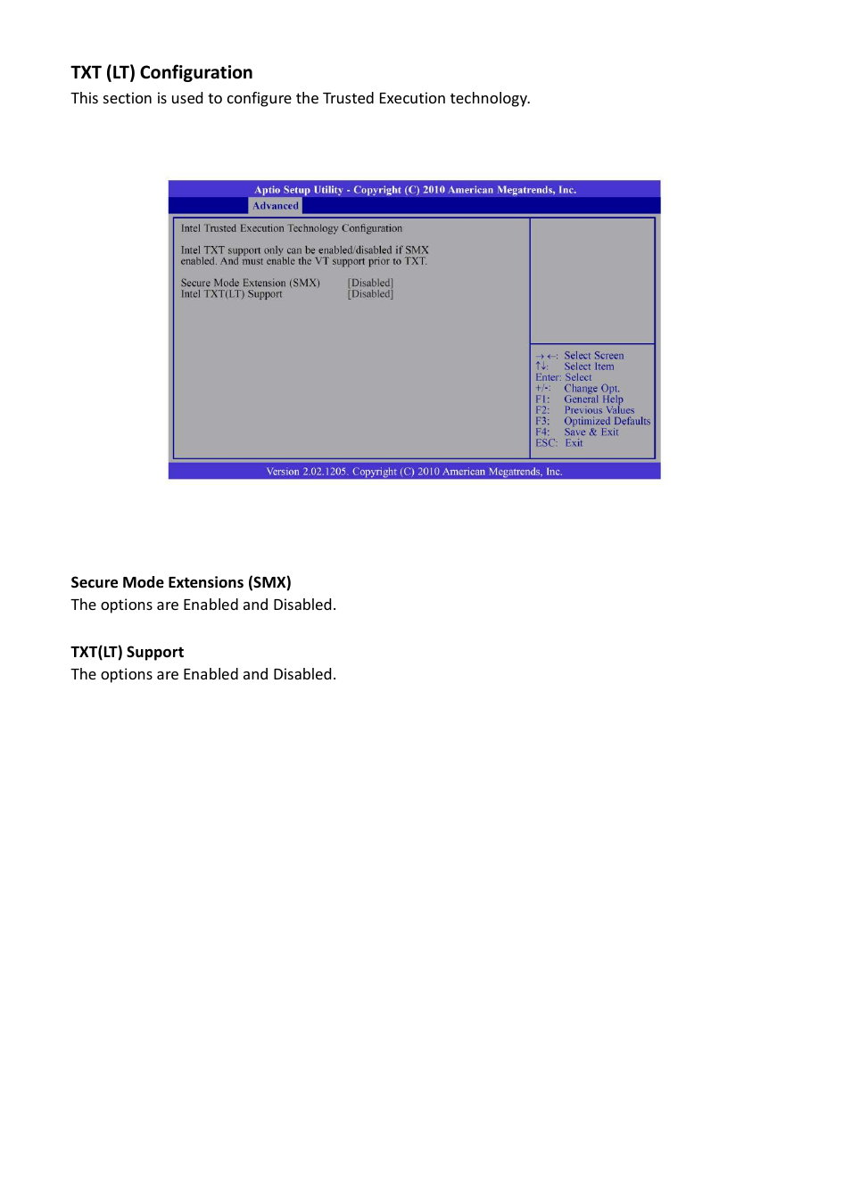 Txt (lt) configuration | Acnodes FES 5313 User Manual | Page 38 / 117