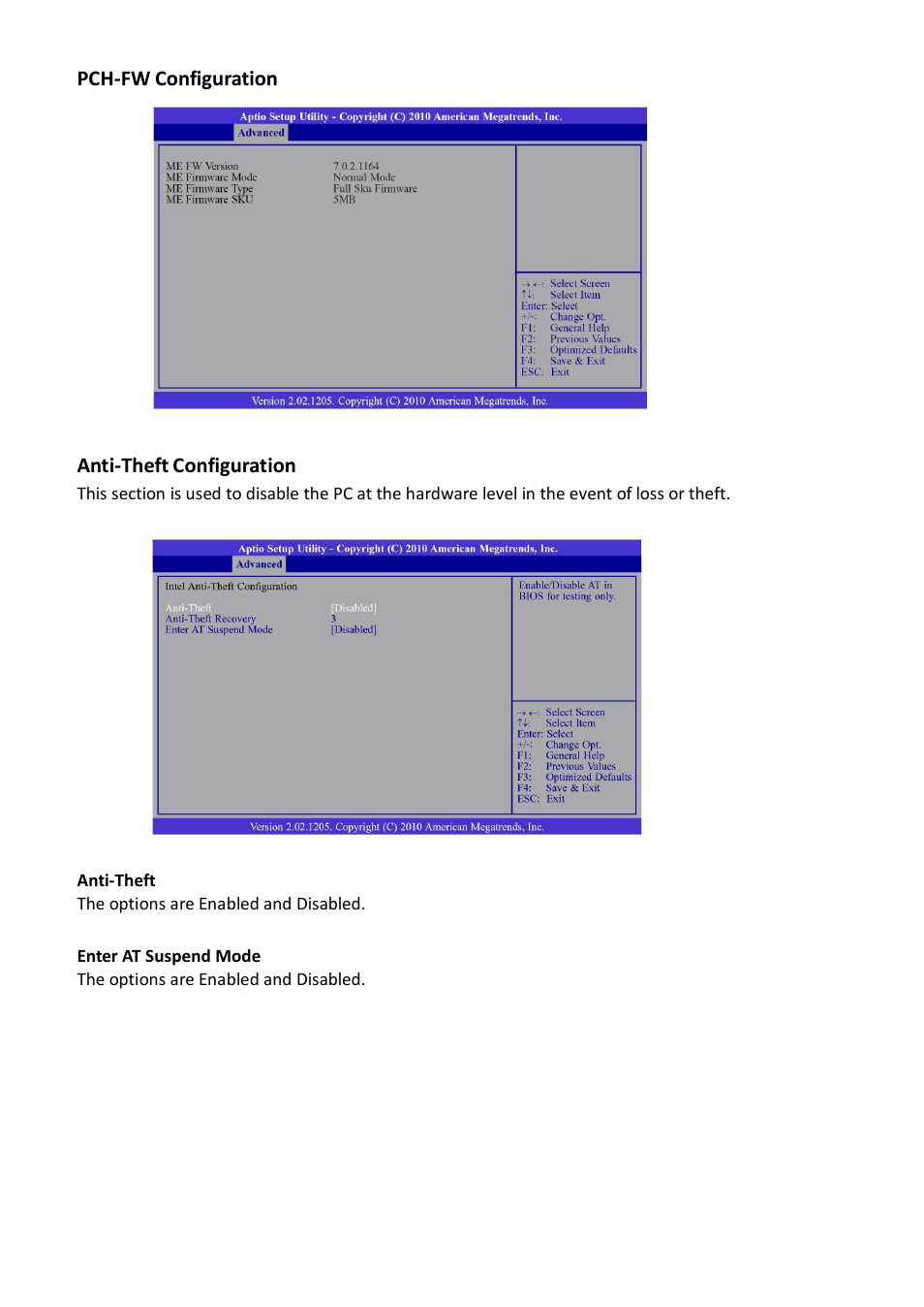 Pch-fw configuration, Anti-theft configuration | Acnodes FES 5313 User Manual | Page 39 / 117