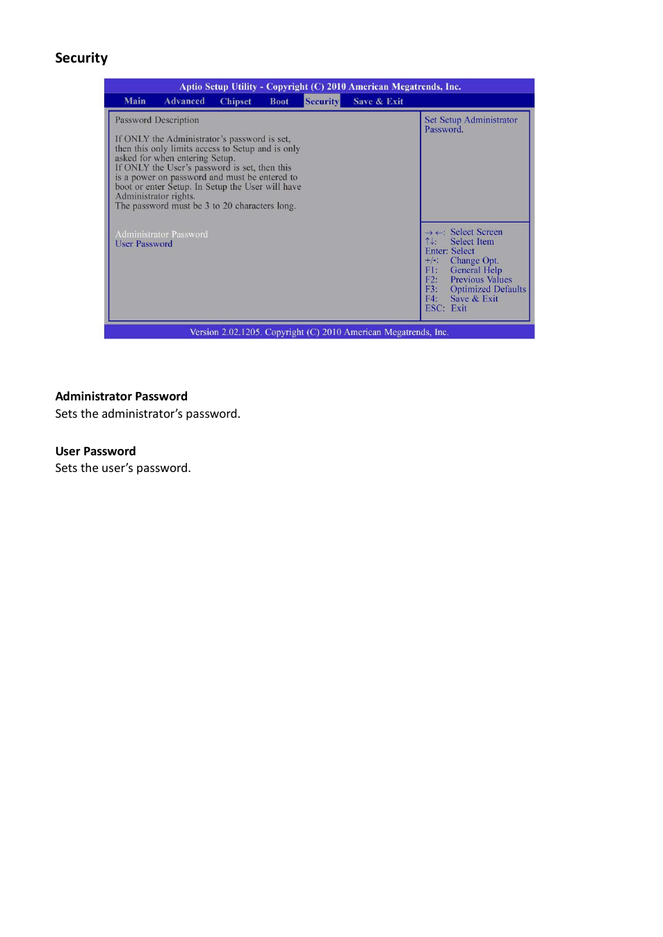 Security | Acnodes FES 5313 User Manual | Page 52 / 117