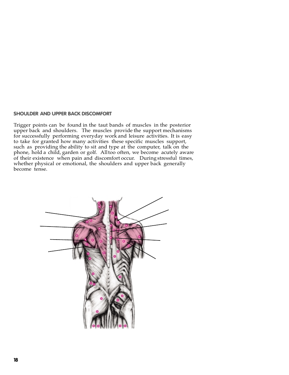 Activeforever The Original Backnobber II User Manual | Page 20 / 37