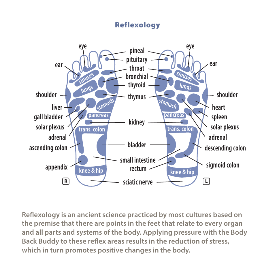 Activeforever Body Back Buddy User Manual | Page 10 / 11