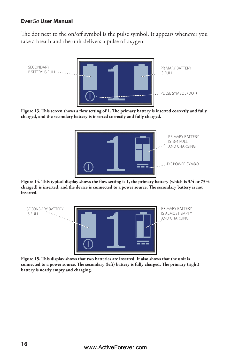 16 ever go user manual | Activeforever Respironics EverGo Portable Oxygen Concentrator User Manual | Page 19 / 38