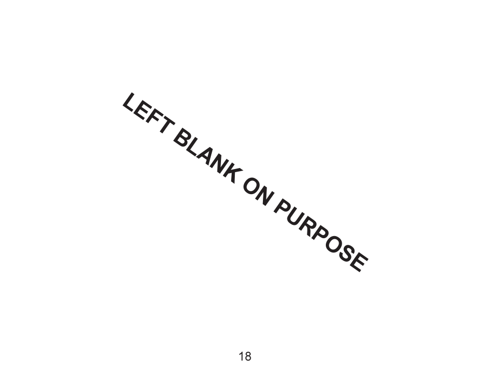 Left blank on purpose | Actron Advance Timing Light CP7528 User Manual | Page 19 / 26
