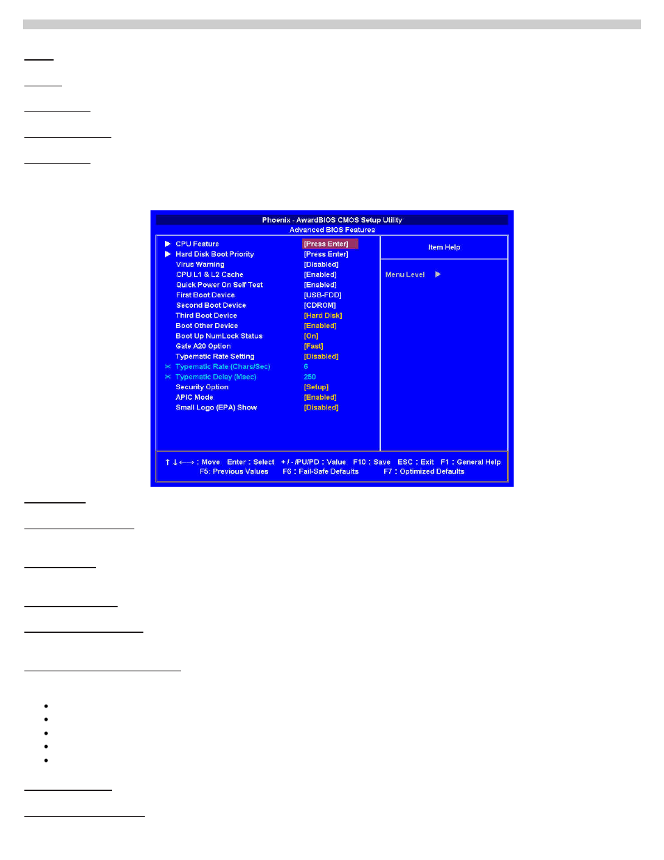 Advanced bios features | Acura Embedded AcuPanel 12 User Manual | Page 24 / 34