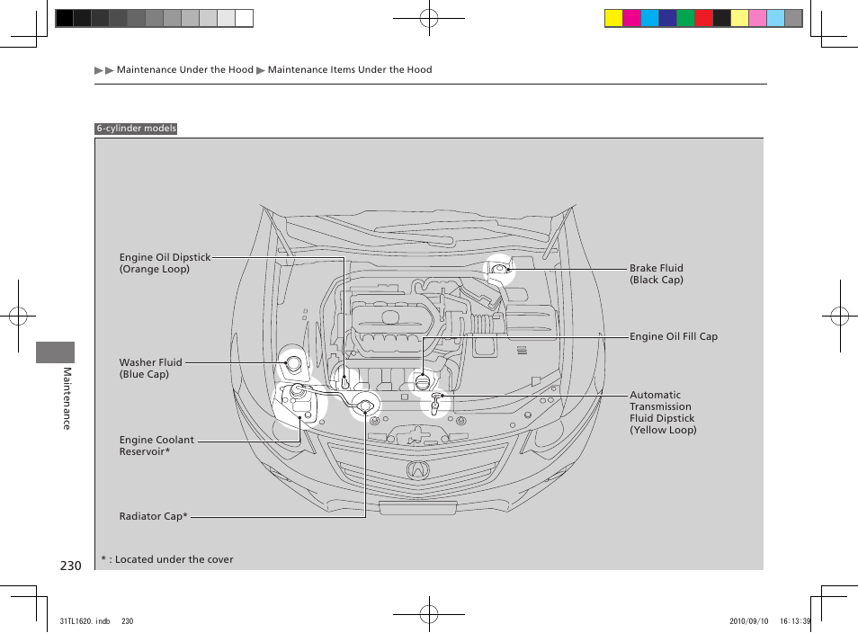 Acura 2011 TSX User Manual | Page 232 / 325