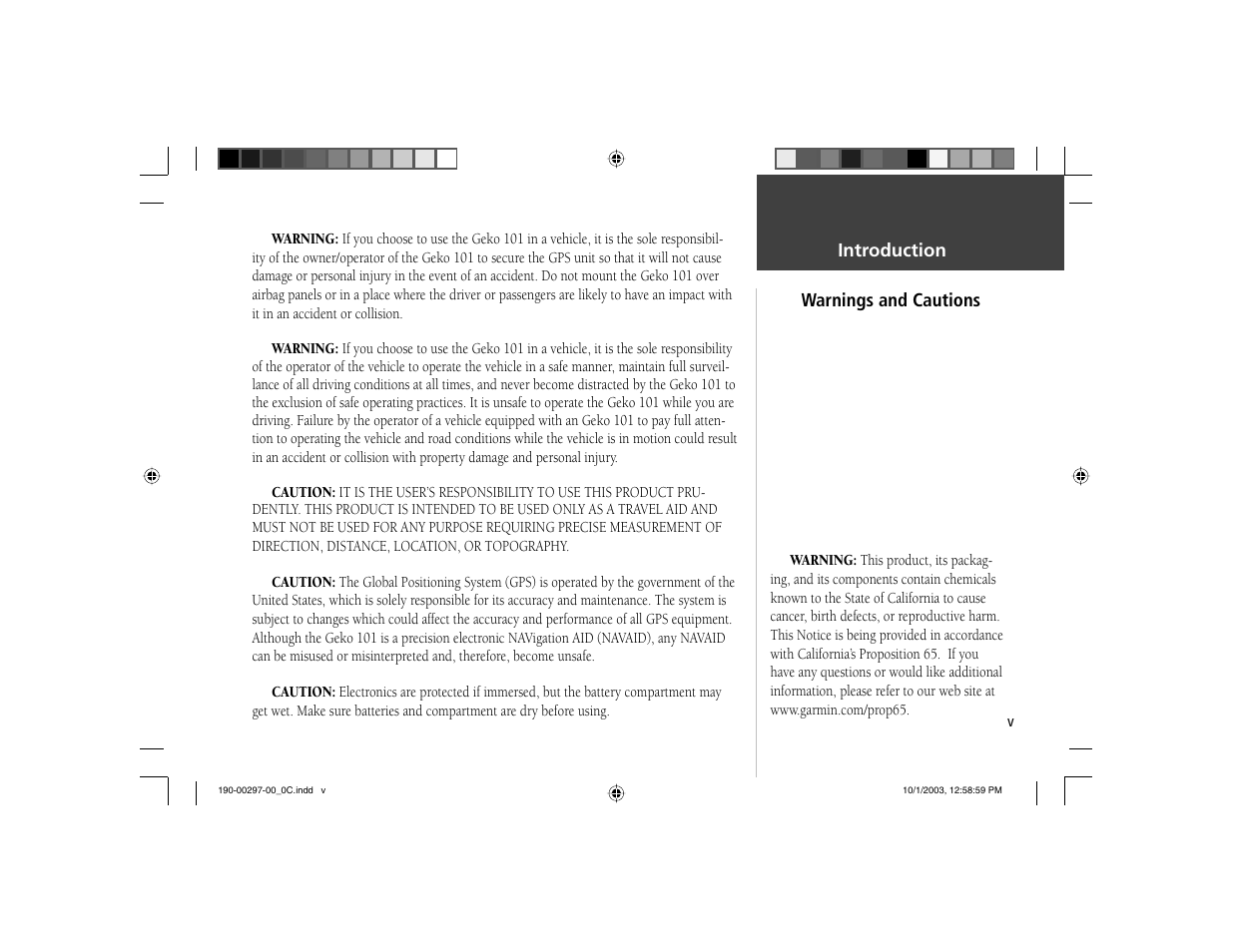 Garmin Geko 101 User Manual | Page 5 / 32