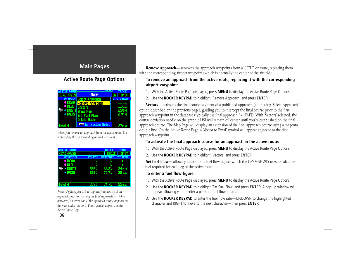 Garmin GPSMAP 295 User Manual | Page 46 / 116