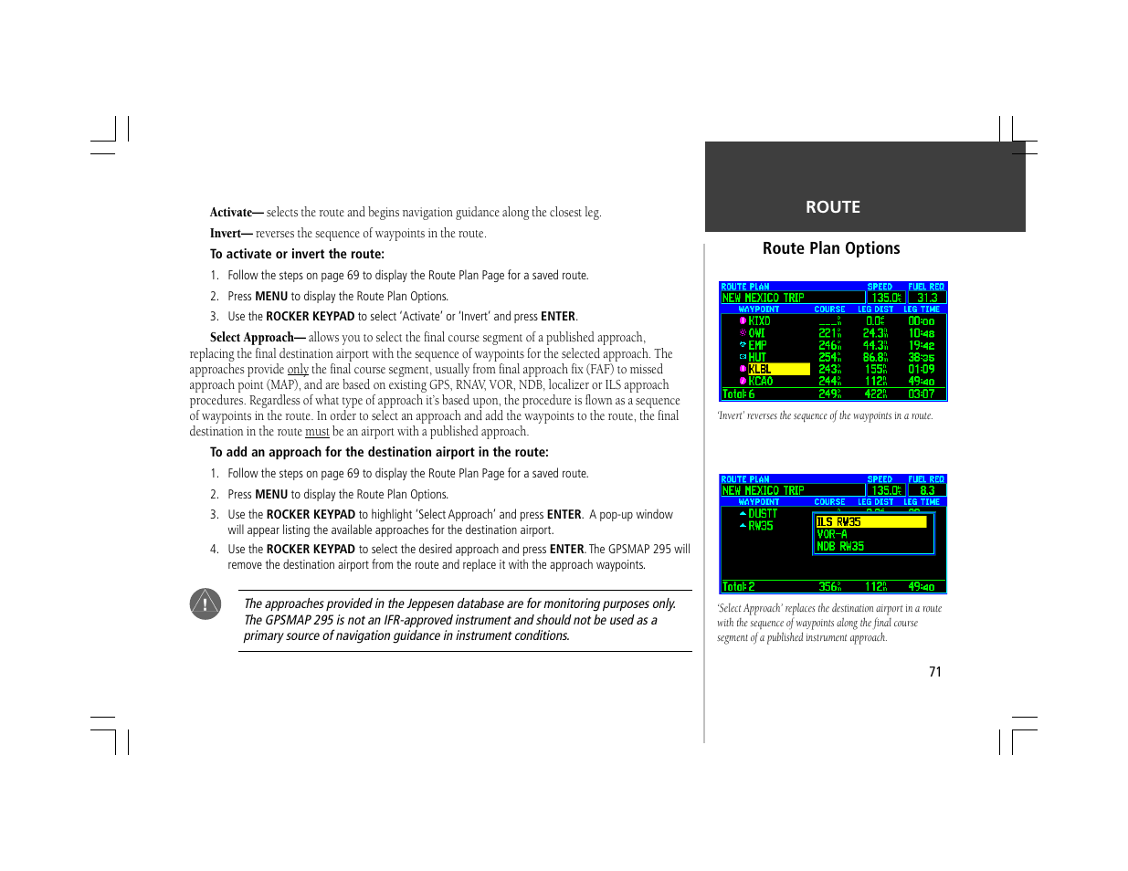 Garmin GPSMAP 295 User Manual | Page 81 / 116