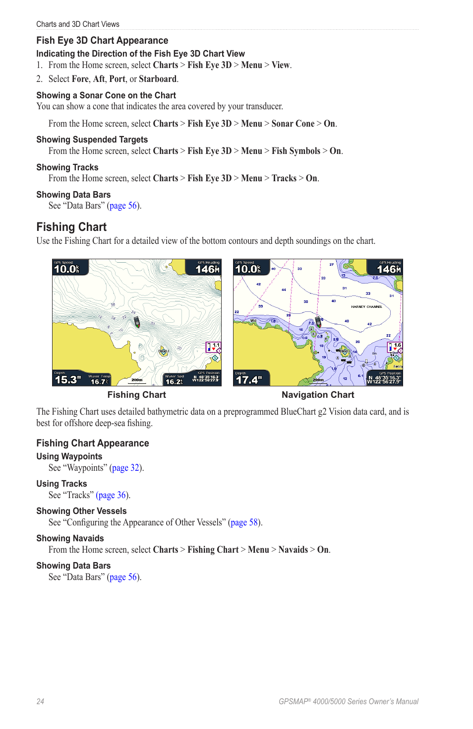 Fishing chart, Recognition, Fshore deep-sea fishing | Garmin GPSMAP 5215 User Manual | Page 28 / 116