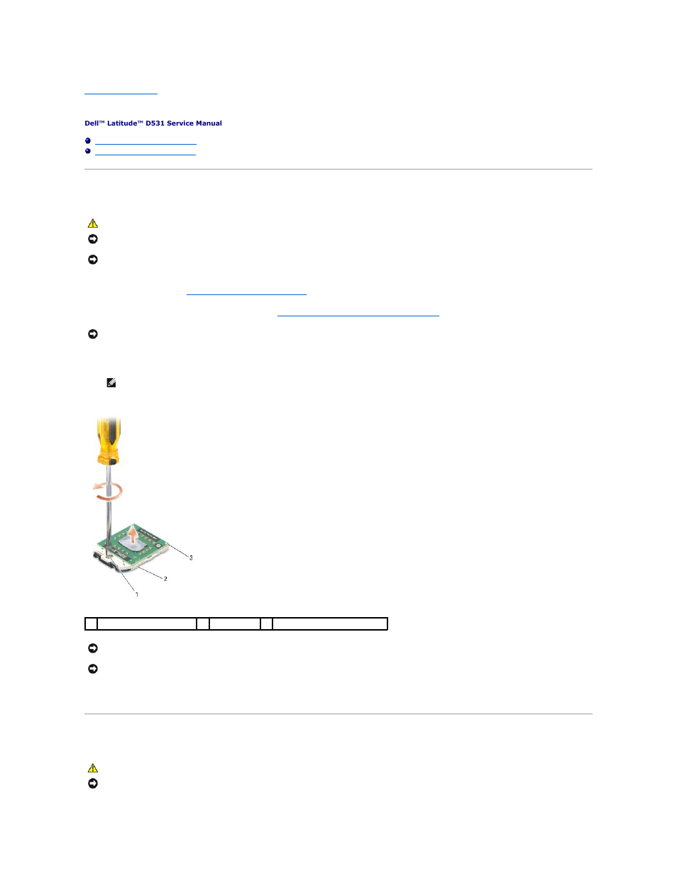 Processor module, Removing the processor module, Replacing the processor module | Dell Latitude D531 User Manual | Page 13 / 46