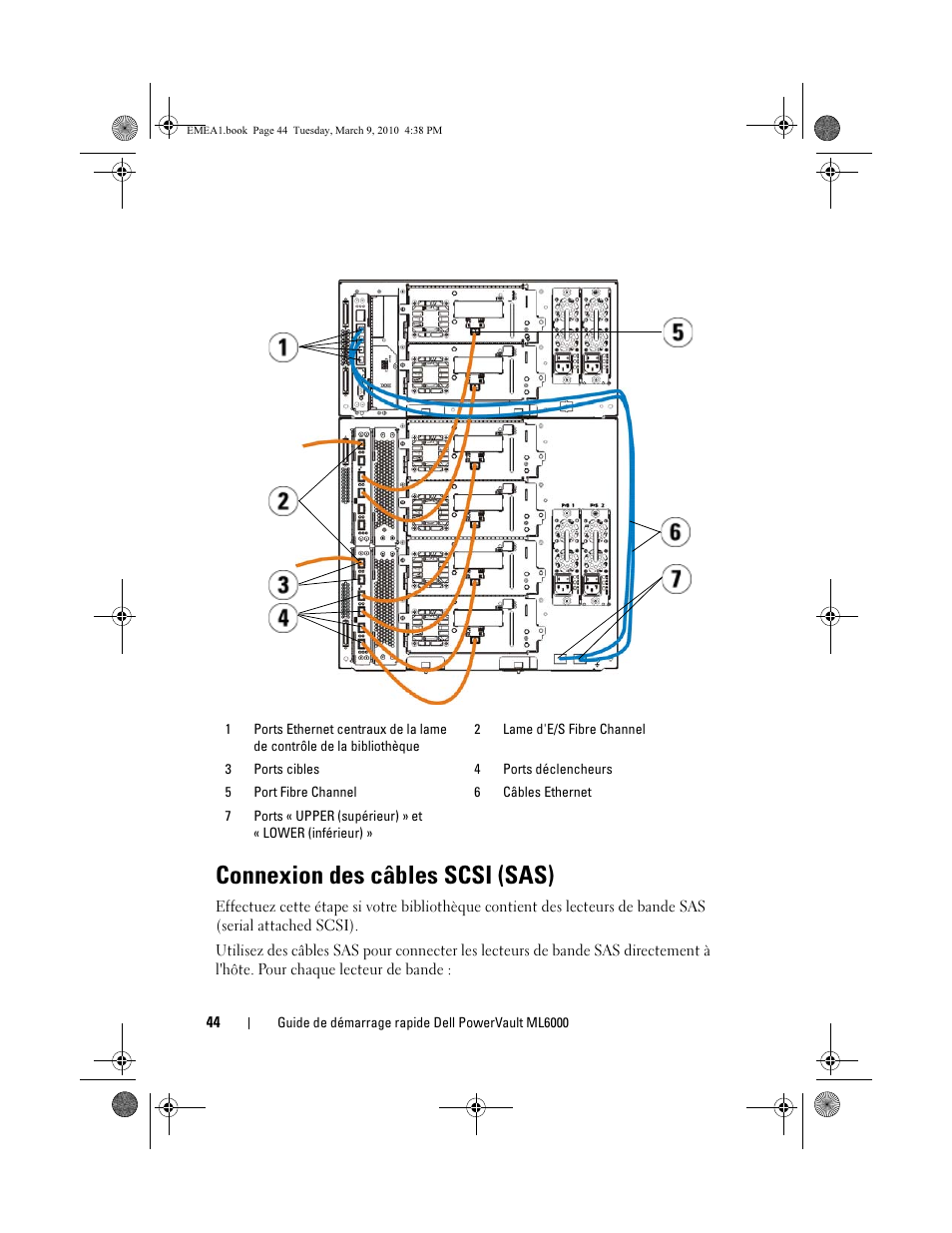 Connexion des câbles scsi (sas) | Dell PowerVault ML6000 User Manual | Page 44 / 108