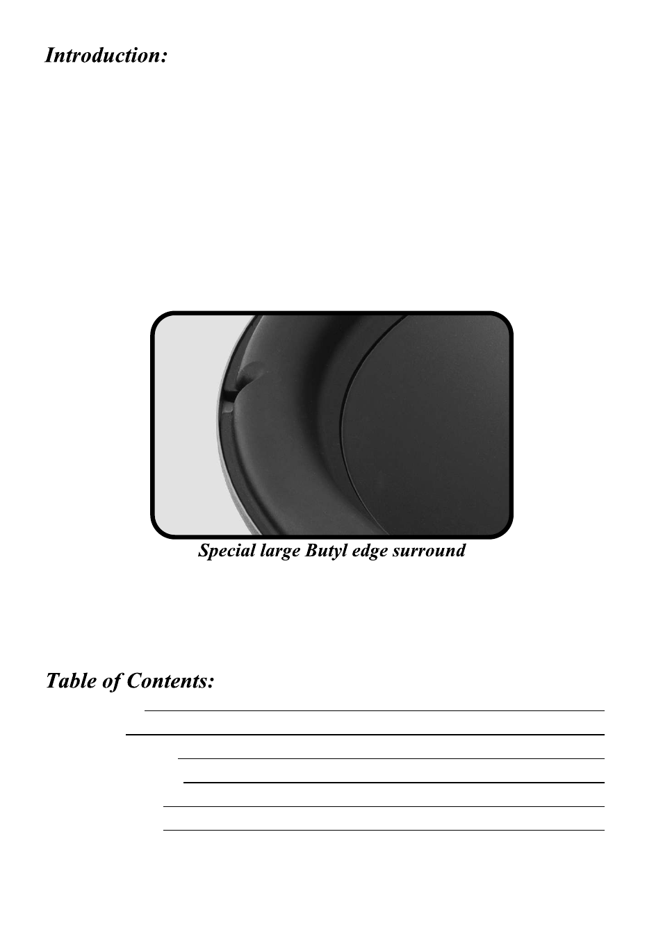 Audiopipe TS-VR15 User Manual | Page 2 / 8