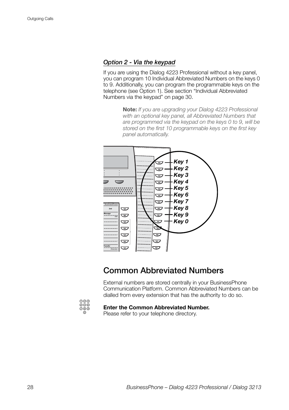 Option 2 - via the keypad, Common abbreviated numbers | AASTRA 4223 Professional for BusinessPhone User Guide User Manual | Page 28 / 138