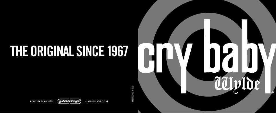 Dunlop Manufacturing ZW45 User Manual | 2 pages