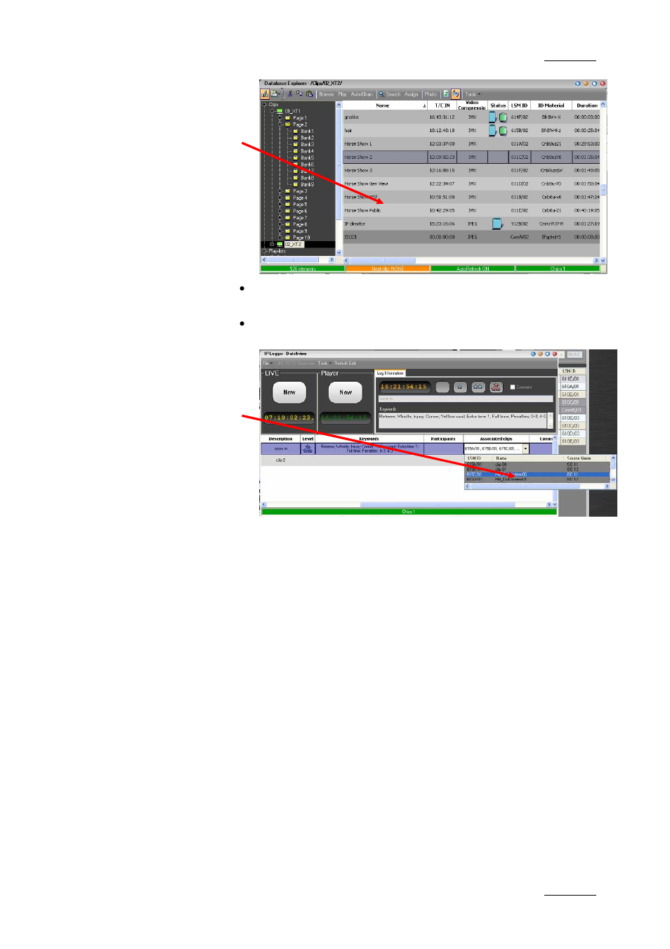 EVS IPDirector Version 4.3 - October 2007 Part 3 User's Manual User Manual | Page 102 / 204