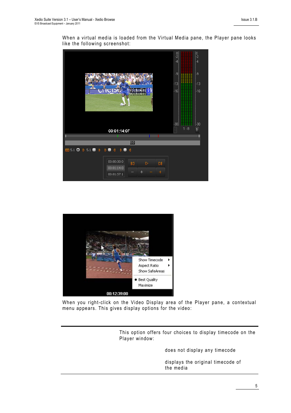 2 video display of the player, Video display of the player | EVS XEDIO Browse Version 3.1 - January 2011 User Manual User Manual | Page 10 / 38