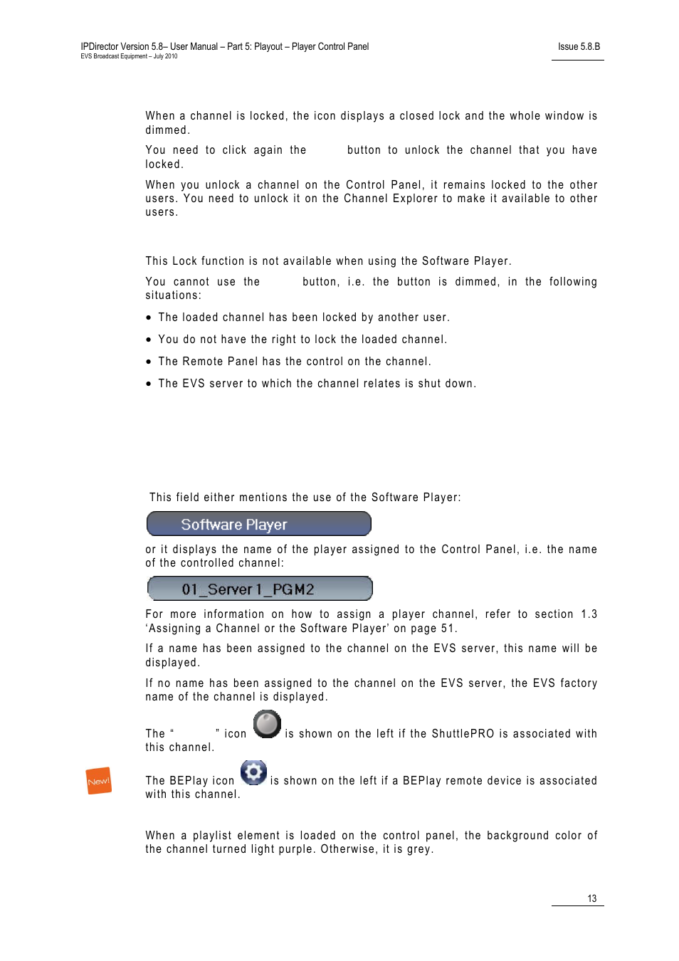 Activation and deactivation, Limitations, Channel field | Purpose | EVS IPDirector Version 5.8 - July 2010 Part 5 User's Manual User Manual | Page 22 / 102
