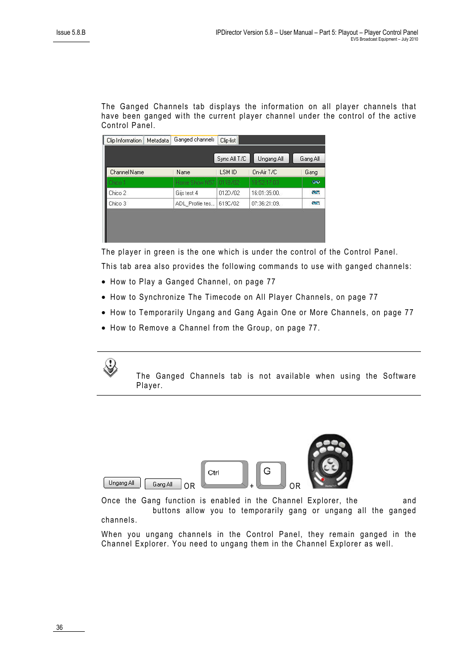 9 ganged channels tab, Gang function, Ganged channels tab | Anged, Hannels | EVS IPDirector Version 5.8 - July 2010 Part 5 User's Manual User Manual | Page 45 / 102