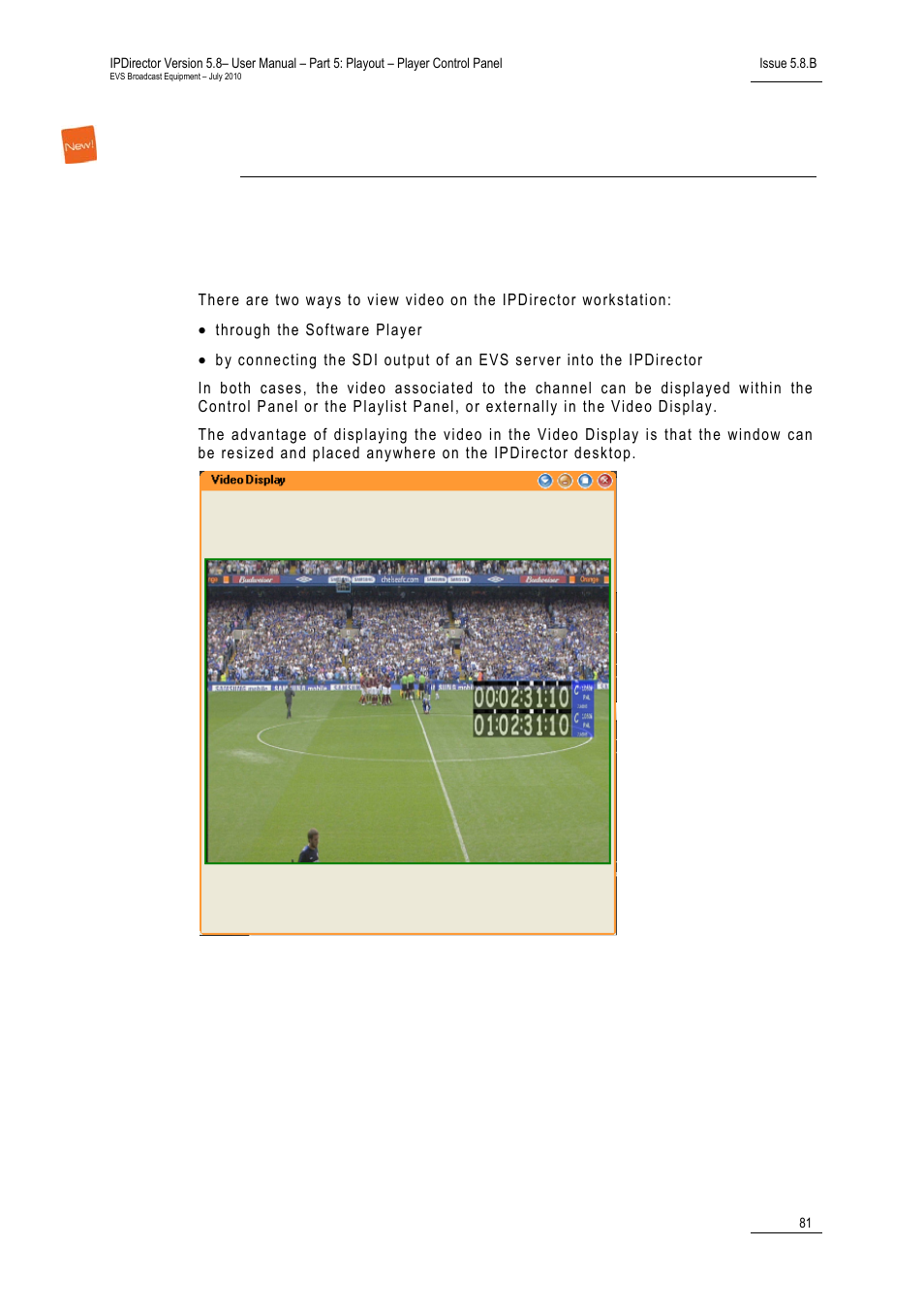 Video display, 1 introduction, Introduction | 3 ‘video display’ on, 81 for | EVS IPDirector Version 5.8 - July 2010 Part 5 User's Manual User Manual | Page 90 / 102